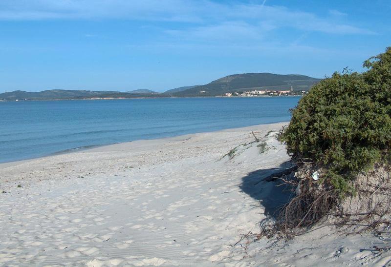 ألغيرو Appartamento A Pochi Passi Dalla Spiaggia المظهر الخارجي الصورة