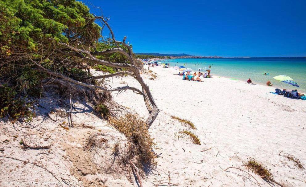 ألغيرو Appartamento A Pochi Passi Dalla Spiaggia المظهر الخارجي الصورة